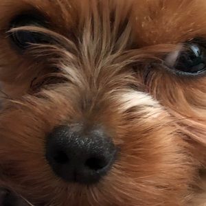 Meet your Posher, Sabrina